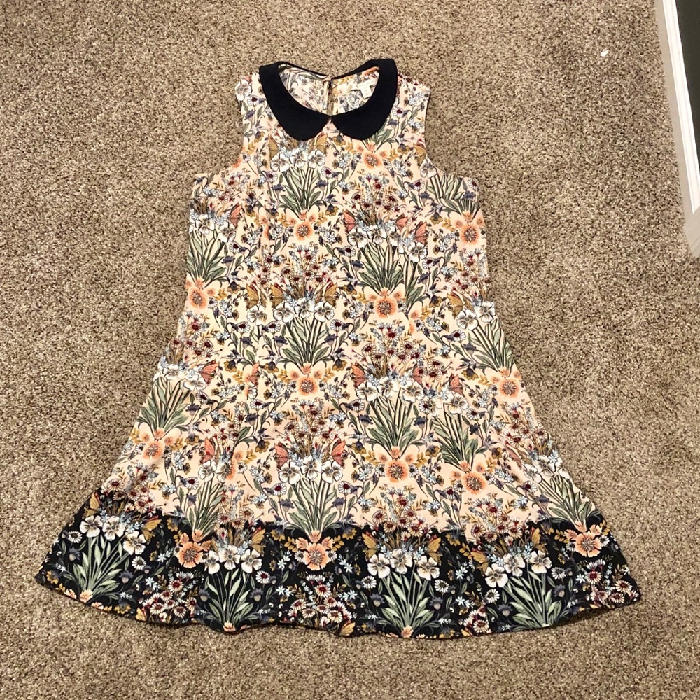 Peter Pan Collar Shift Dress